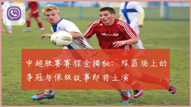 中超联赛赛程全揭秘：绿茵场上的争冠与保级故事即将上演