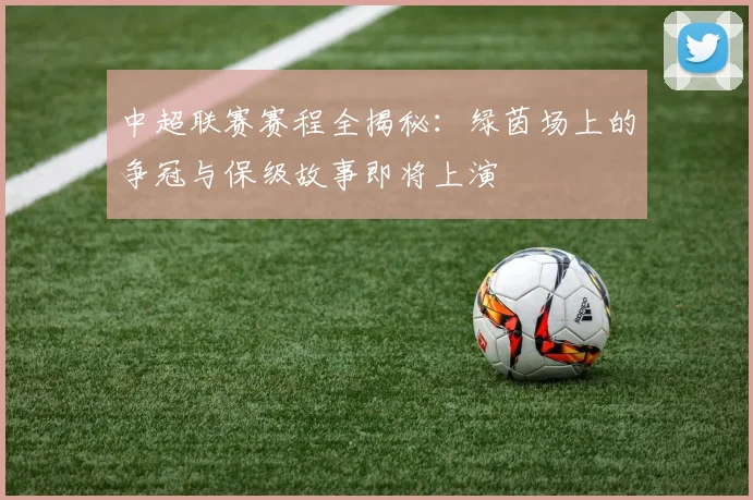中超联赛赛程全揭秘:绿茵场上的争冠与保级故事即将上演